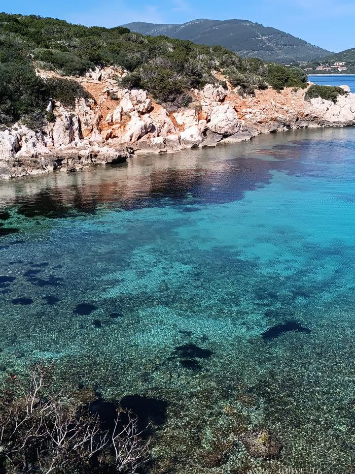 cala dragunara