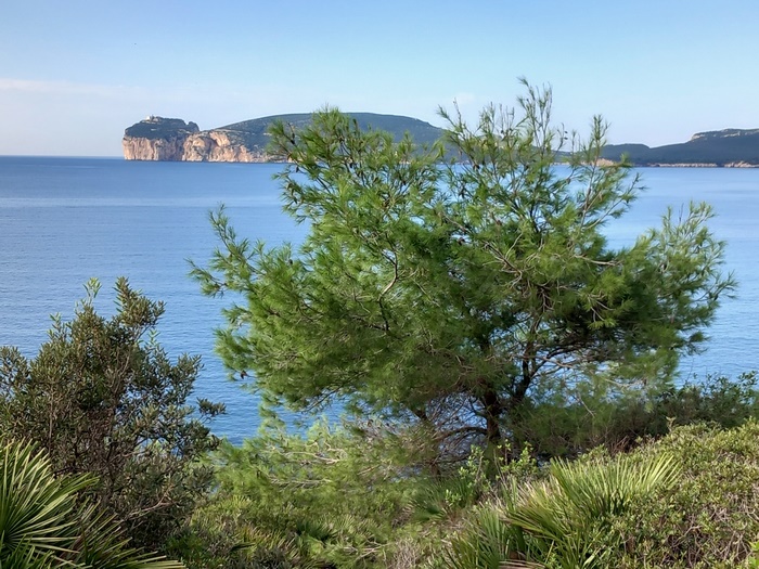 porto conte